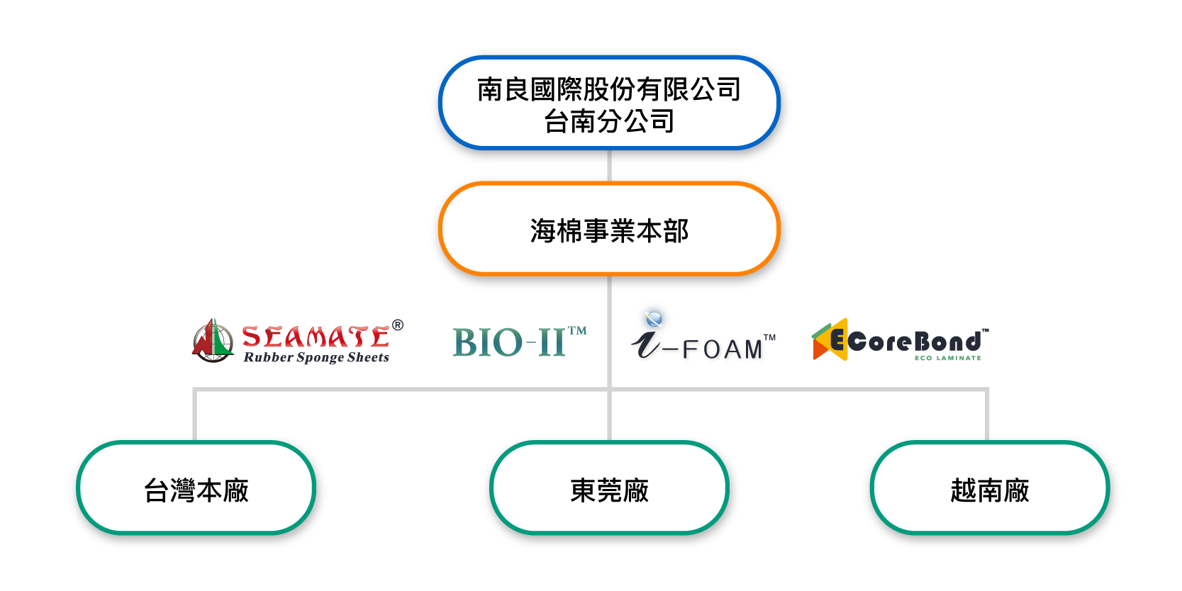 南良海棉部組織圖 